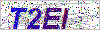 Enter the verification codeT2EI